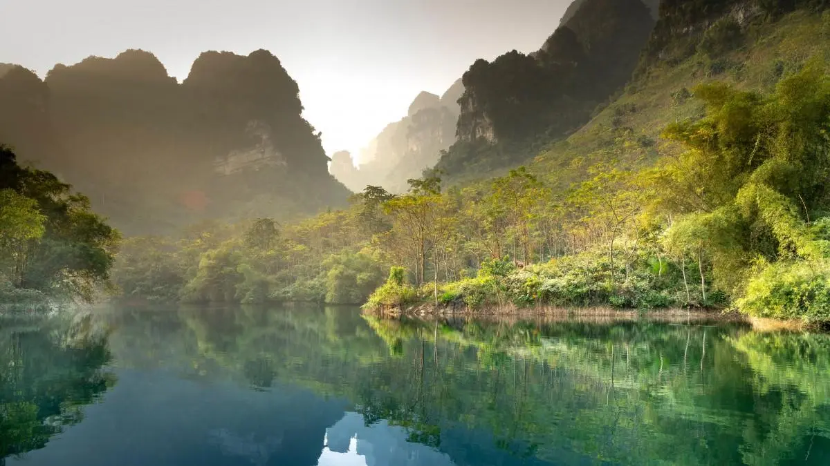 智能高精度独特